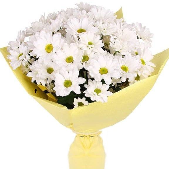 Ромашки от 3 510 руб.